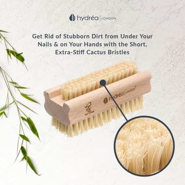 Hydrea London Nail Brush - Double-Sided Pedicure & Manicure Brush with Natural Cactus Bristles - 100% Vegan Hand Scrub, Fingernail Cleaner, & Tough Toenail Cleaning Scrubber - FSC® Certified Beechwood - Image 5