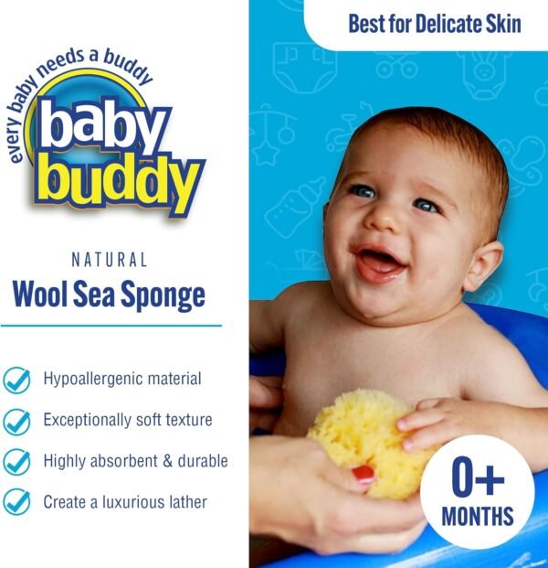 Baby Buddy Natural Wool Sea Sponge, Newborn Bath Time Essential, Ultra Soft for Delicate Skin, Hypoallergenic and Biodegradable, 4 Pack - Image 2