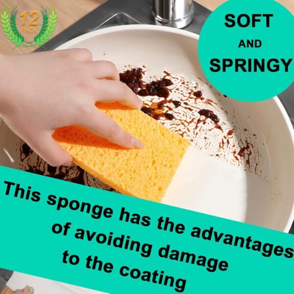 12-Count Extra Large Compressed Sponges Kitchen for Dishes, Sponges for Cleaning, Biodegradable Cellulose Compressed Sponges for Kitchen, Bathroom, Camper, Backpacker - Image 3