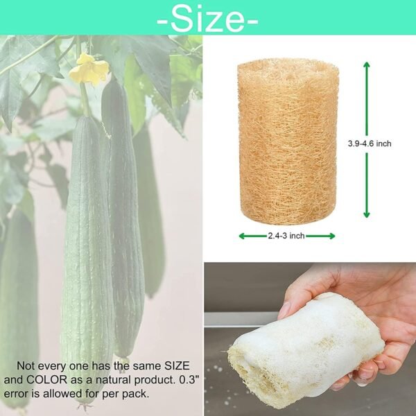 Natural Loofah Sponge Shower Organic Luffa Bath Loofa Exfoliating Body Scrubber Loofah for Men Women Adults Back Face Body Skin SPA Care - 6 Pieces - Image 5