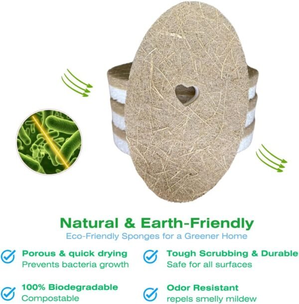 Plant-Based Natural Oval Kitchen Sponge, Biodegradable and Compostable Coconut Coir and Cellulose Dual Action Cleaning, Fast Drying, Odor Resistant, Heart-Cut Out & eco-Friendly- Pack of 4 - Image 3
