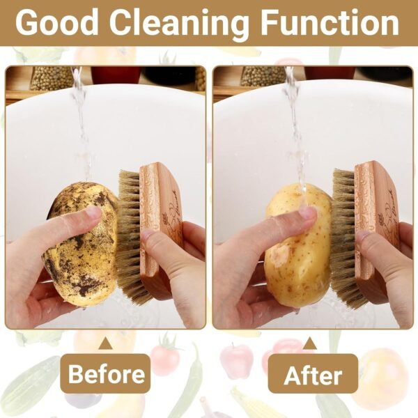 SEPGLITTER Vegetable Brush,2 Veggie Wash Brushes Potato Brush Cleaning Brush for Potato Carrot Cucumber and Fruits Vegetable Brush Scrubber for Food - Image 4