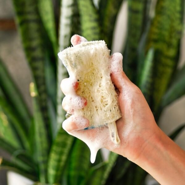 SUPERBEE Natural Kitchen Sponges 10 Pack - Plant-Based Biodegradable Loofah Dish Sponge - Eco-Friendly, Zero-Odor, Cleaning Dirty Dishes, pots, and Pans, Cleaning - Plastic-Free Sponge - Image 4