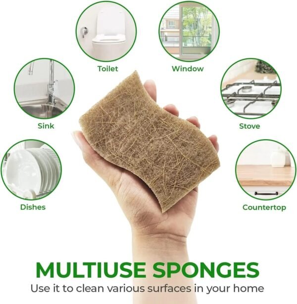 Graham & Ash Co 6 Pack Biodegradable Sponges - Sponges Kitchen Natural Sponges for Dishes Natural Sponge Dish Sponge - Eco Friendly Sponges Natural Kitchen Sponge (6) - Image 5