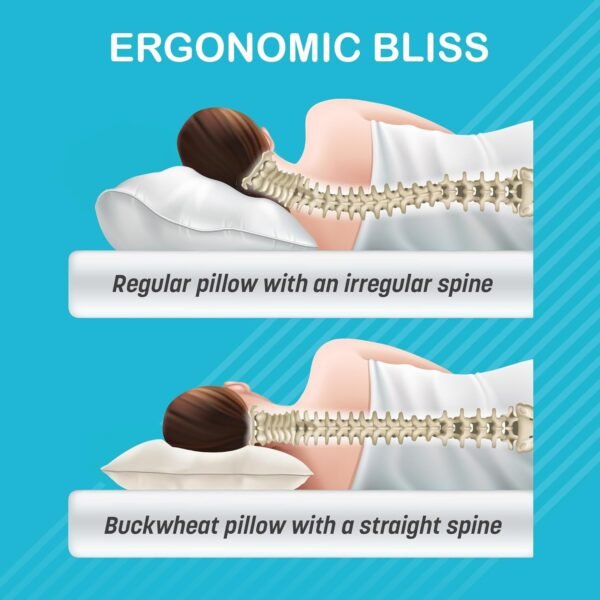 Turmerry Buckwheat Pillow Standard Size 20"X26" - USA Origin Hulls - Adjustable Loft and Firmness for Cervical Support for Back and Side Sleepers - Zippered Organic Cotton Cover - Sleeps Cool - Image 5