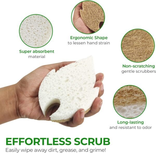 Biodegradable Natural Dish Sponges Kitchen Pack of 6 - Leaf and S-Shaped Coconut and Cellulose Sponges for Dishes and Surfaces - Eco Friendly Non-Scratch Heavy Duty Dish Scrubber Sponges Bulk - Image 7