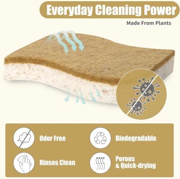 Foamstar Natural Sponges-10 Pack, Eco Friendly Non-Scratch Scrub Sponge for Kitchen, Biodegradable Plant Based Scrubber Sponges for Cleaning Dishes, Odor Free - Image 3
