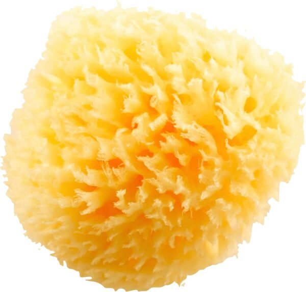 Natural Bath Sponge 4in Ultra Soft Premium Sea Wool Sponge Soft on Tender Skin, Biodegradable, 2pk - Image 2