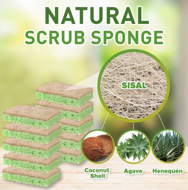Natural Sponge by Scrubit - 10-Pack - Biodegradable Cellulose Natural Sponges for Dishes with a Tough Eco-Friendly Scouring Pad for Kitchen and Bathroom – Non-Stick Plant-Based Compostable Sponges - Image 2