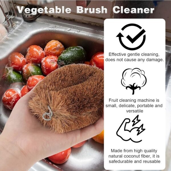 Ptwola 1 Pack Japanese Vegetable Brushes Natural Coconut Fiber Scrub Fruits Brushes Wooden Palm Dish Cleaner Brush with Hanging Loop for Potato Sink Kitchen Household Cast Iron Pan Pots - Image 3