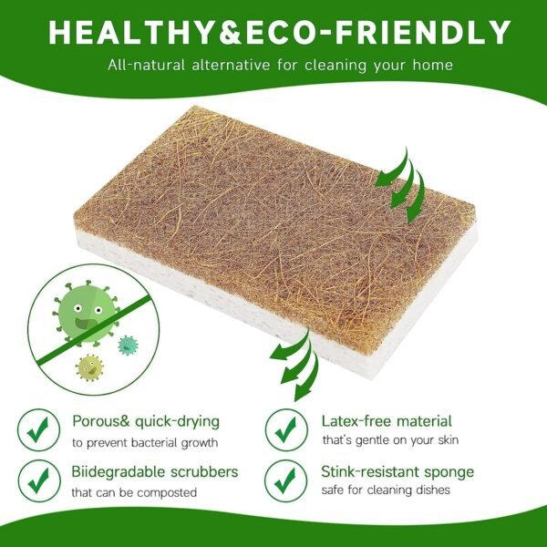 Graham & Ash Co Natural Kitchen Sponge - Biodegradable Compostable Cellulose and Coconut Scrubber - Pack of 10 Eco Friendly Sponges - Image 4