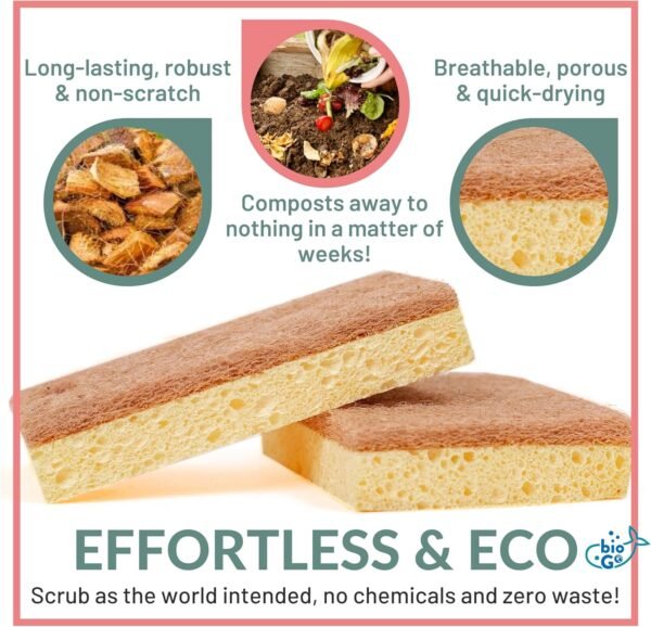 bioGo 24 Pack Biodegradable Kitchen Sponges - Eco-Friendly, Compostable, Natural Cellulose Dish Sponges - Compostable Sponges - Biodegradable Sponges - Cellulose Sponge - Sponges Kitchen - Image 4