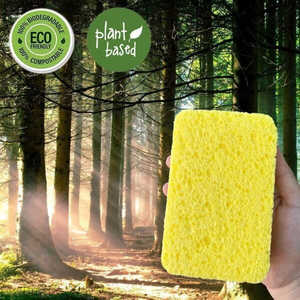 12Pack Large Cellulose Sponges, Compressed Cellulose Kitchen Sponges, Dish Washing Sponge, Household Cleaning Sponges, Durable Kitchen Sponges, Natural Wood Sponges for Dishes, Bathroom - Image 2