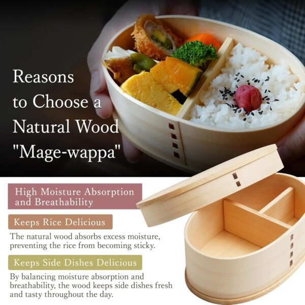 SEIDO Magewappa Lunch Box, Wappa, Japanese Finish, Natural Wood, Wooden Chopsticks, Canvas Lunch Bag, Elastic Band Set, 500mL - Image 3