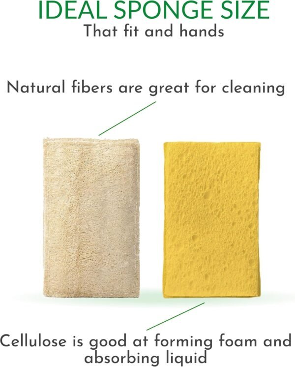 Natural Sponges, 12 Pack, Ideal for Cleaning Kitchen, Bathroom & Household (Loofah, Coconut, Cellulose and Sisal Scrubbers), Eco-Friendly, Compostable, Biodegradable, 4 Types of 3 Pcs. - Image 4