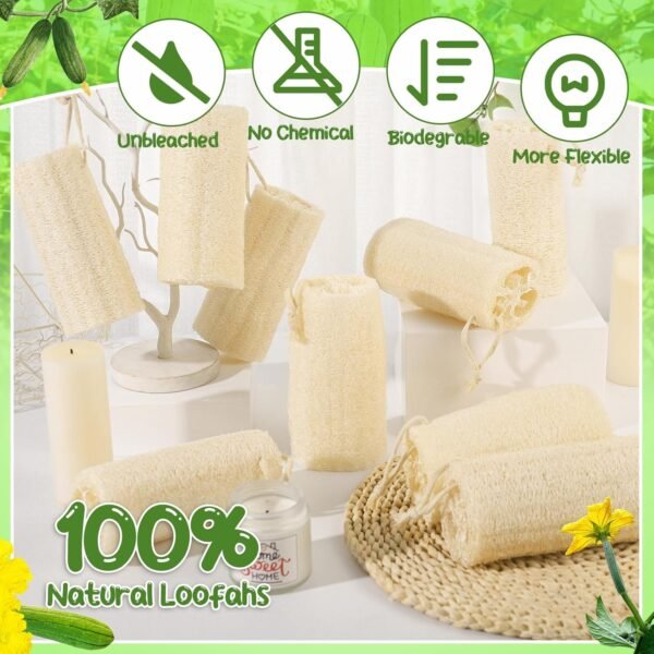 9 Pack 6" Natural Loofah Sponge Medium Size Natural Organic Loofah for Kitchen Cleaning Dishes Body Scrubber Loofa Eco Friendly for Skin Care Men and Women - Image 3