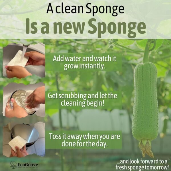 Loofah Sponges 100% All Natural BPA Free Loofahs for Dishes, Face, Soap Making, Shower, Exfoliating Eco-Friendly Biodegradable 30 Pack Compressed (Loofah) - Image 4