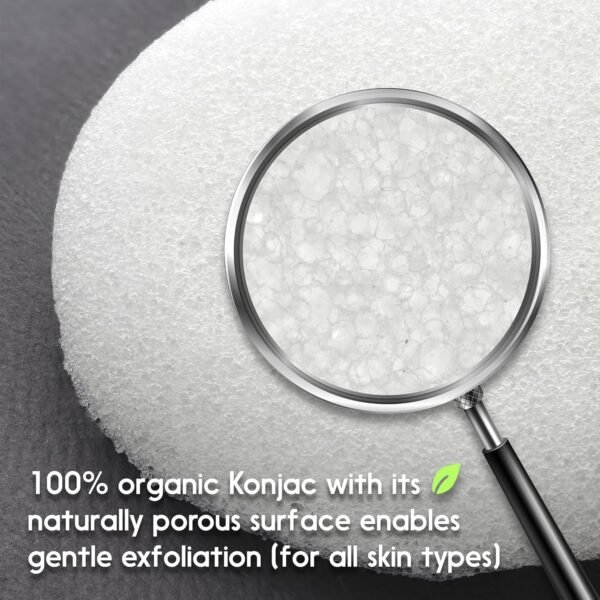 Konjac Facial Sponge 100% Natural - Reusable Gentle but Thorough Exfoliating Scrubber Puff Unclog Pores, Removes Dead Skin, Dirt, Makeup – Also Perfect for Baby Bath, Pristine White - Image 2