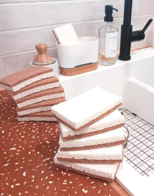 Graham & Ash Co Natural Kitchen Sponge - Biodegradable Compostable Cellulose and Coconut Scrubber - Pack of 10 Eco Friendly Sponges - Image 2