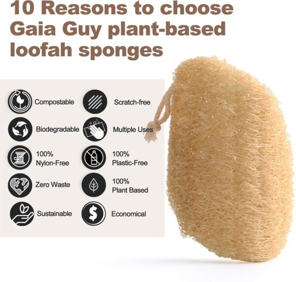 Gaia Guy Natural Dish Sponge (10 Pack), Compostable Kitchen Scrubber Scouring Pad, 100% Plastic-Free Loofah Plant-Based Dishwashing Scrubber, Biodegradable and Zero Waste - Image 5