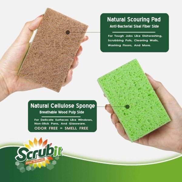 Natural Sponge by Scrubit - 24-Pack - Biodegradable Cellulose Natural Sponges for Dishes with a Tough Eco-Friendly Scouring Pad for Kitchen and Bathroom – Non-Stick Plant-Based Compostable Sponges - Image 6