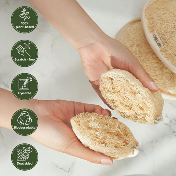 Chill Ah Green Glow All Natural Exfoliator Dual Sided Loofah Bath Sponge Set – 100% Plant-Based, dye-Free, Biodegradable, Scratch-Free, Handcrafted in Vietnam (2-Pack) - Image 3
