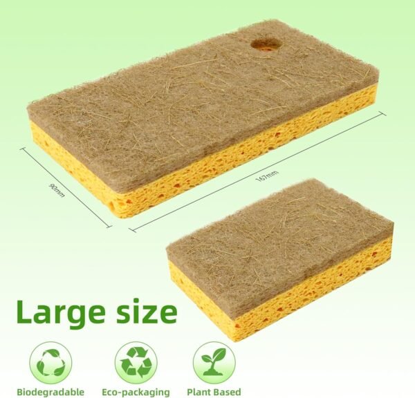 Natural Sponge 4 Pack - Eco Friendly Kitchen Sponges for Sustainable Living | Biodegradable Plant Based Cleaning Dish Sponge,6.5" x 3.5" x 0.8" - Image 3