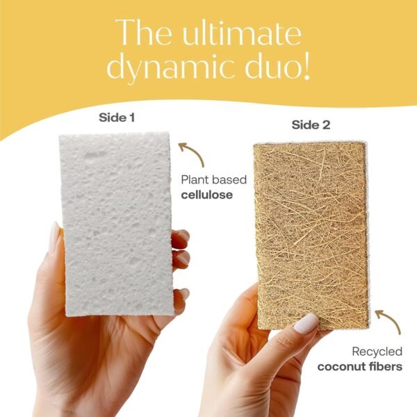 Coconut Fiber Kitchen Sponges - Pack of 6 Cellulose and Coconut Scrubber Sponges - Dish Cleaning Sponges | Plastic-Free | Planet-Friendly| Odor Free - Image 4