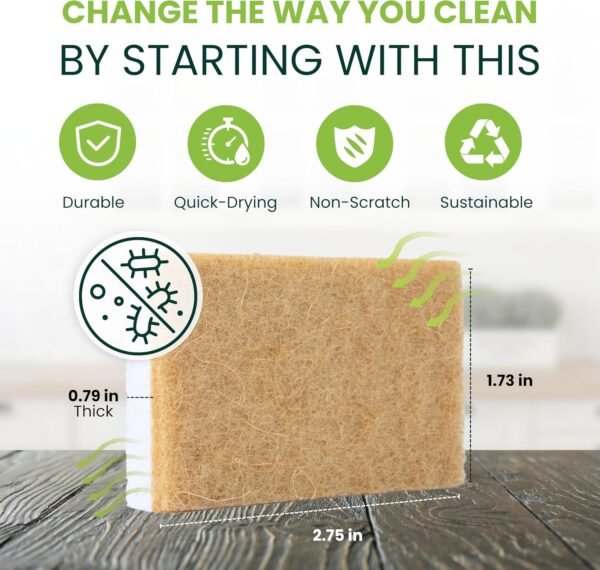Tieralia Plant-Based Sponges - 12 Pack - 100% Compostable, Non-Scratch, Odor-Free - Made from Wood Cellulose & Sisal for Kitchen Cleaning - Image 4