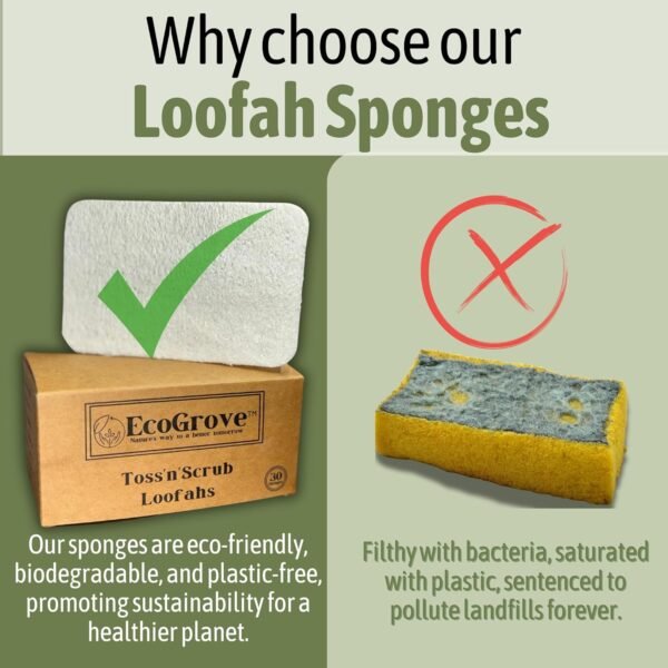 Loofah Sponges 100% All Natural BPA Free Loofahs for Dishes, Face, Soap Making, Shower, Exfoliating Eco-Friendly Biodegradable 30 Pack Compressed (Loofah) - Image 5
