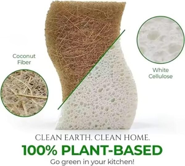 Earth Tone Compostable Sponge 12 Pack | Heavy Duty, Non-Scratch, Biodegradable, Natural Kitchen Sponges for Dish Washing | Plant-Based Walnut Scrubber - Image 2