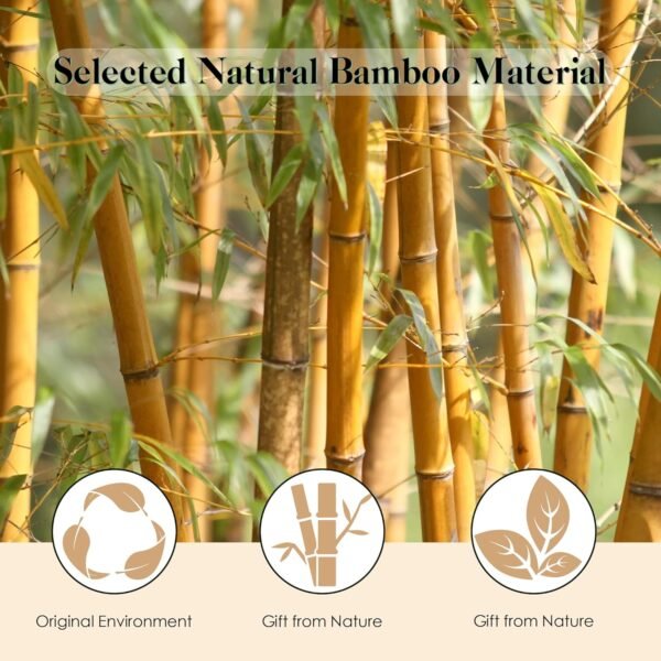 Bamboo Hair Brush for Hair Growth, Natural Bamboo Bristles Detangling Square Wooden Paddle Hairbrush for Massaging Scalp, for Women Men and Kids, for All Hair Types, with Ergonomic Handle - Image 3