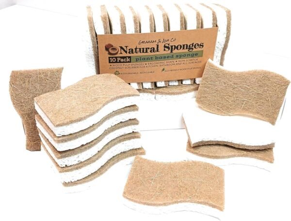 Graham & Ash Co Natural Kitchen Sponge - Biodegradable Compostable Cellulose and Coconut Scrubber - Pack of 10 Eco Friendly Sponges