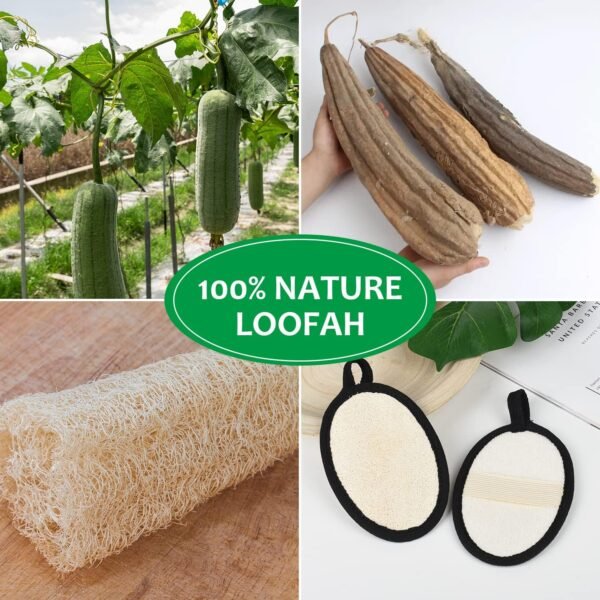 2Pcs Loofah Exfoliating Body Scrubber, Biodegradable Shower luffa Pad, Natural Loofah Sponge, Loofah for Men and Women (Black) - Image 4