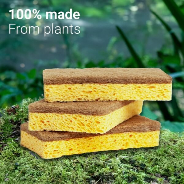 Premium Natural Kitchen Sponge | Non Scratch | Long Lasting | Waste Free | Washing up Kitchen | Natural Fiber | Eco-Friendly | Earth Friendly | Vegan | 6 Pack - Image 4