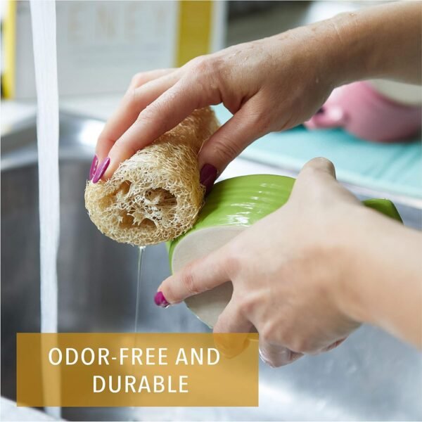 ENEY Eco-Friendly Natural Kitchen Washing Up Sponge | 100% Plant-Based Biodegradable | Four Pack of Non-Odor Dish Sponges | Sustainable Unbleached Loofah | Plastic-Free - Image 2