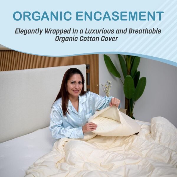 Green Natural Organic Bed Pillow - GOLS Certified Organic Rubber Foam Latex Pillows for Sleeping for Side, Back, and Stomach Sleepers Zippered Organic Cotton Cover - Size Standard - Mid Loft - Soft - Image 7