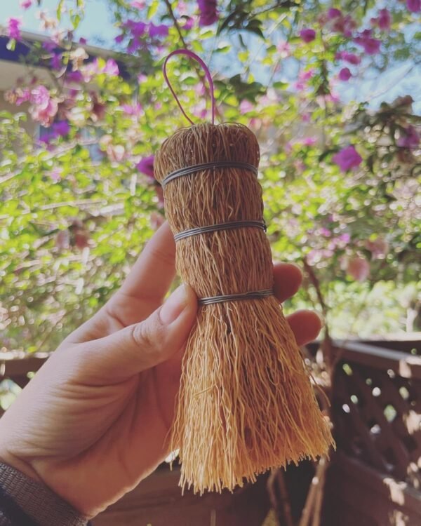 Brush Escobeta De Raiz Natural / Mexican Root Brush 5" ( Set of 2 ) - Image 2