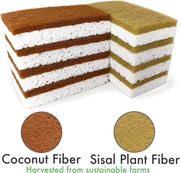 Eco sponges 2 Types Natural Plant Based Scrub Sponge 8 Pack Palm Fiber Scrubbing Sponge with Non Scratch Compostable Sponges Durable No Odor Kitchen Scrubber Eco Friendly Kitchen sponges - Image 4