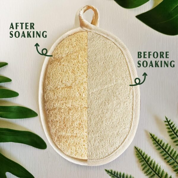 Natural Loofah Sponge Exfoliating(4 Packs),Made with Eco-Friendly and Biodegradable Shower Luffa Sponge, Loofah for Women and Men, Brown - Image 2