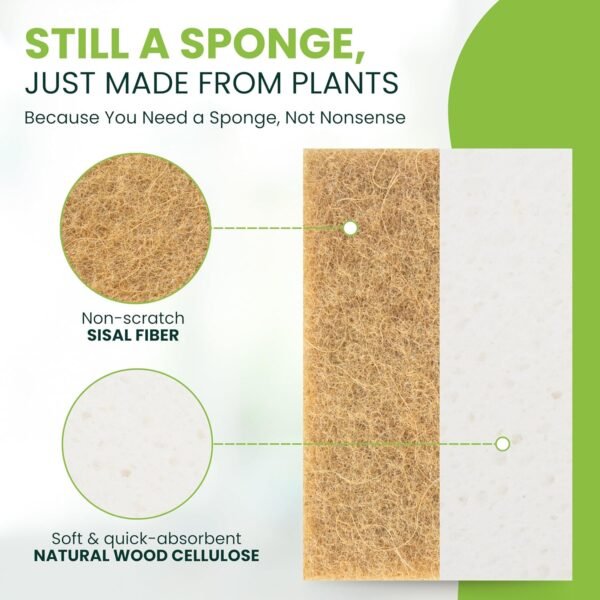 Tieralia Plant-Based Sponges - 12 Pack - 100% Compostable, Non-Scratch, Odor-Free - Made from Wood Cellulose & Sisal for Kitchen Cleaning - Image 2