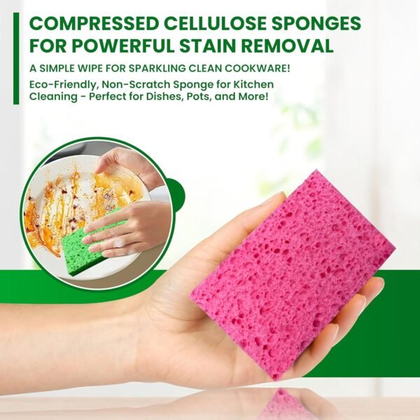Cellulose Sponges – 24-Pack Multicolored Compressed Sponges – Natural Sponges for Kitchen – Biodegradable Sponges for Cleaning, Dishes, DIY Cutouts – Non-Scratch and Quick-Dry - Image 3