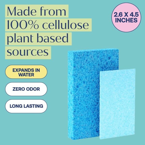Plant-Based Pop-Up Sponges - Pack of 12 Cellulose Sponges Compressed Sponges - Highly Absorbant, for Cleaning Countertop, Kitchens, Bathrooms, Quick Drying - Assorted Colors - Non Scratch - Image 3