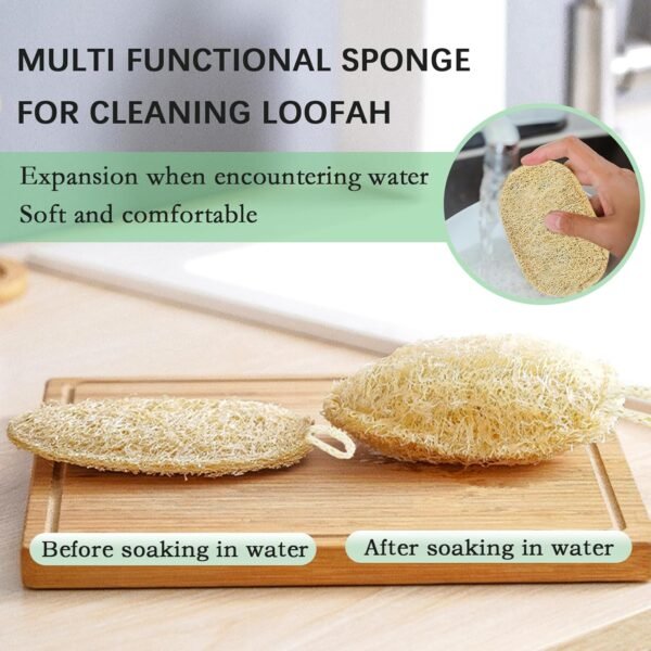 Natural Loofah Dish Sponge, Natural Kitchen Biodegradable Compostable Cellulose Loofah Scrub Sponge, Dual Sided Reusable Non Scratch Cleaning Sponge for Cleaning Kitchen, Bathroom, Household, 3 Pcs - Image 5