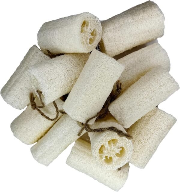 4"Plant Sponge 100% Natural Loofah Dish Sponges, Natural Dishwashing Sponges for Kitchen, Kitchen Scrubber Loofahs - 12 Pack