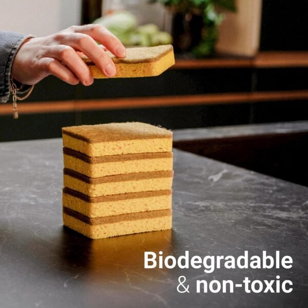 | Eco Kitchen Cleaning Bundle | Bamboo Dish Brush & 6 Natural Kitchen Sponges | with 3 Replacement Heads | Sustainable Cleaning | Plastic-Free | Versatile Cleaning | High-Performance - Image 7