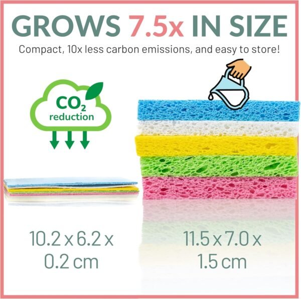 bioGo 30 Pack Compostable Pop-Up Sponges - Expanding, Non-Scratch, Plant-Based Dish Sponges - Bulk Color Sponges - Compostable Pop Up Sponge - Kitchen Pop Up Sponges - Image 2