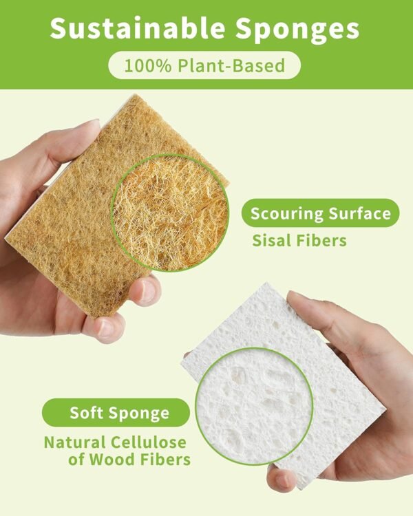 Biodegradable Natural Kitchen Sponge 12Pack, Compostable Cellulose and Coconut Walnut Scrubber Sponge - Image 2