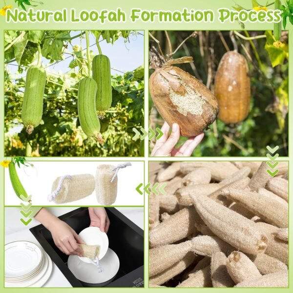 9 Pack 4”Natural Loofah Sponge Small Size Natural Organic Loofah for Kitchen Cleaning Dishes Toddler Exfoliating Skin Care Body Scrubber - Image 5