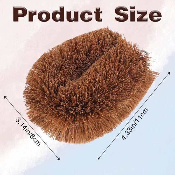 Ptwola 1 Pack Japanese Vegetable Brushes Natural Coconut Fiber Scrub Fruits Brushes Wooden Palm Dish Cleaner Brush with Hanging Loop for Potato Sink Kitchen Household Cast Iron Pan Pots - Image 2